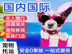 丹霞空运地址国际宠物托运 【国